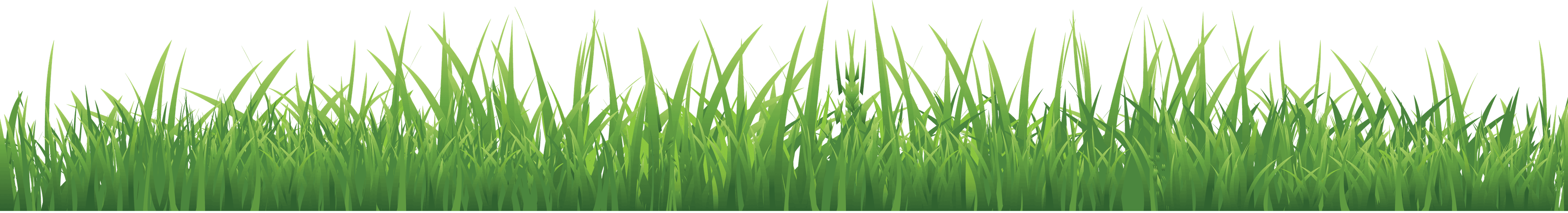 grass